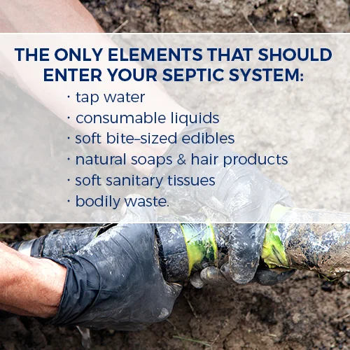 elements that should enter your septic system