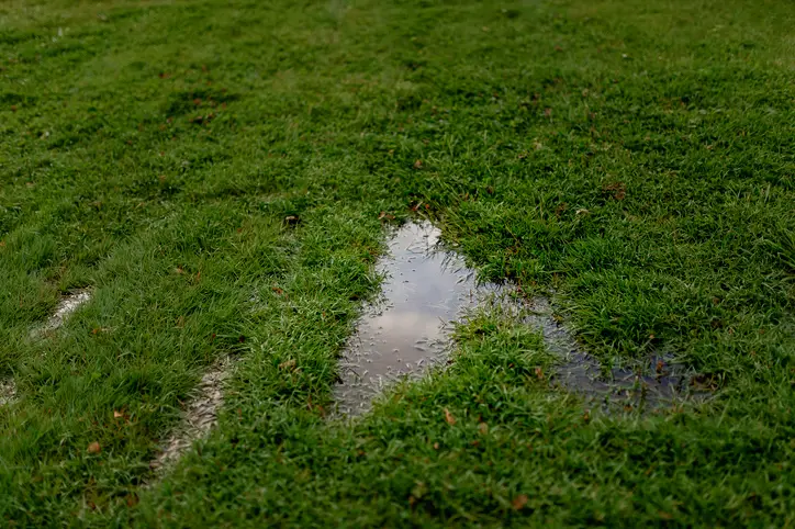 Water Puddles in Lawn