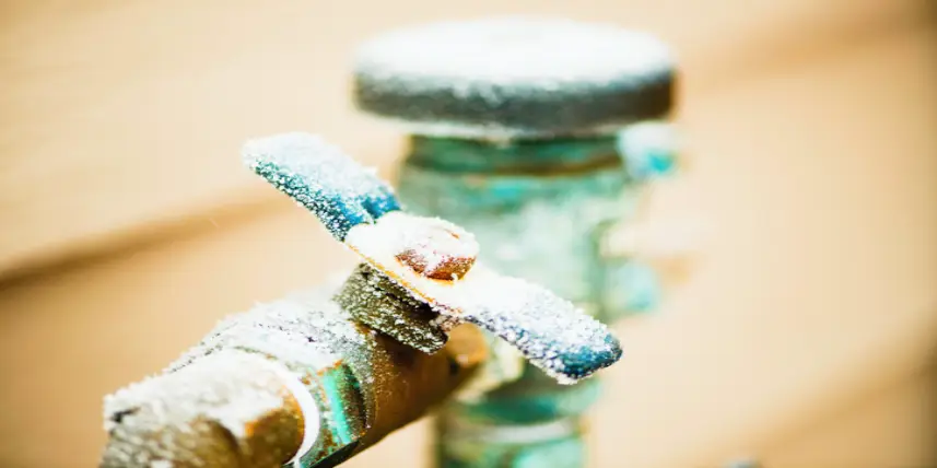 Frozen water shut-off valve