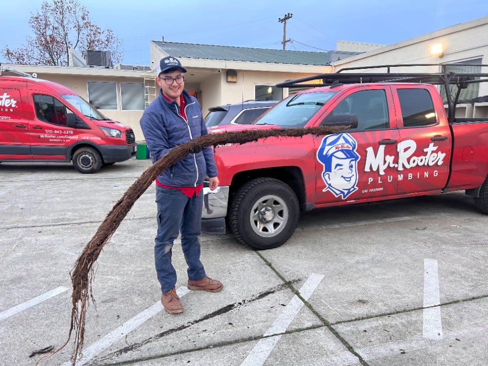 Sewer drain line root removal