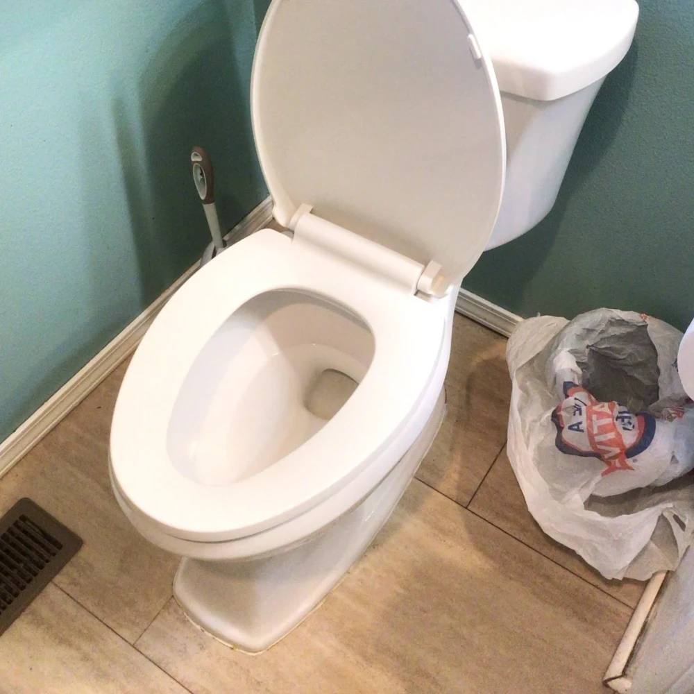 A clean, unclogged toilet