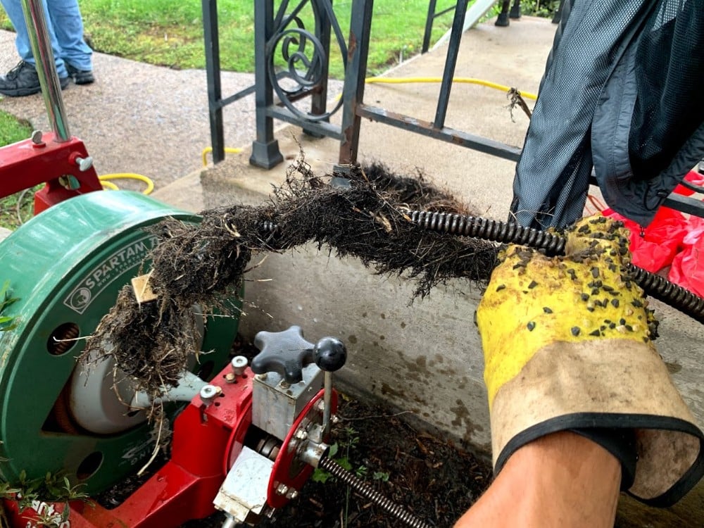 Drain cleaning, removing roots from clogged drain