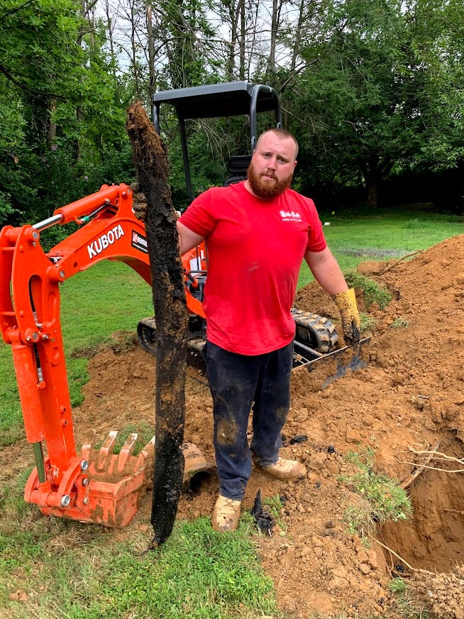 Drain Cleaning Roots