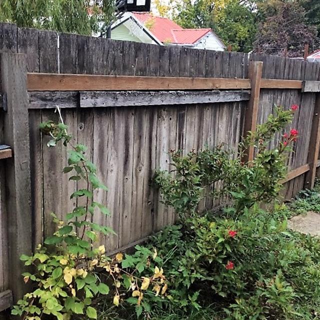 Tall wooden fence and flowering plants in residential neighborhood.