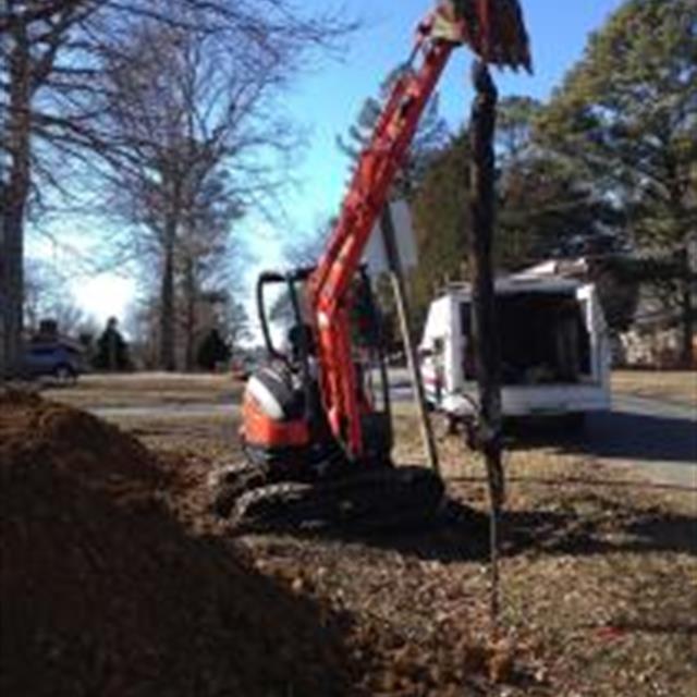 Roots pulled from a main sewer line