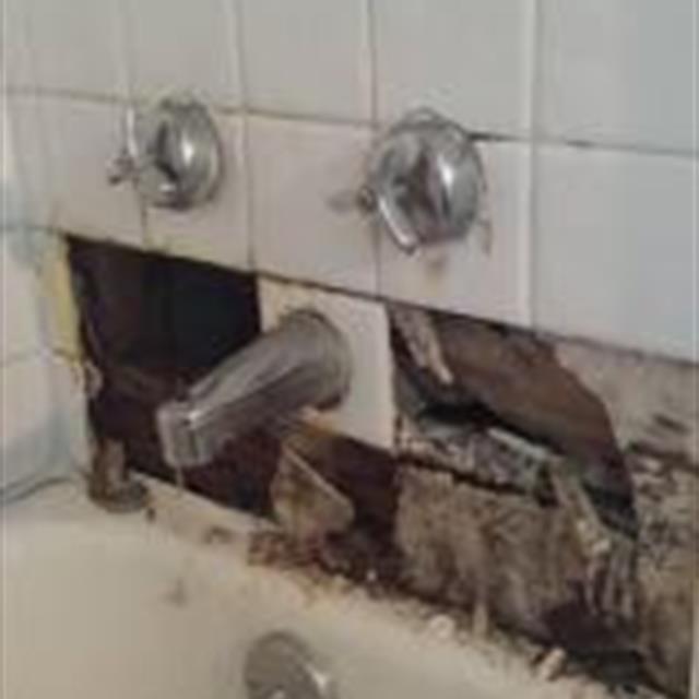 plumbing repair