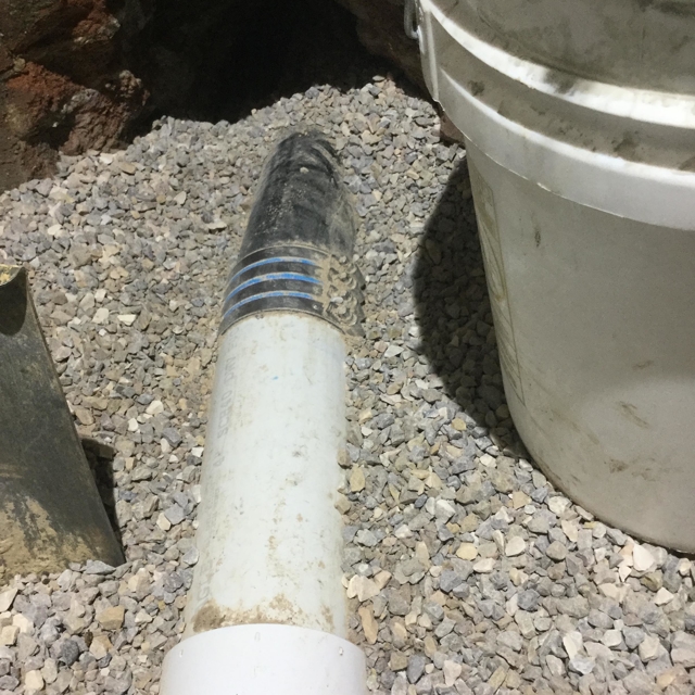 pvc pipe coming out of ground next to white bucket