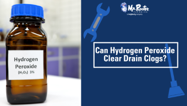 Hydrogen peroxide bottle