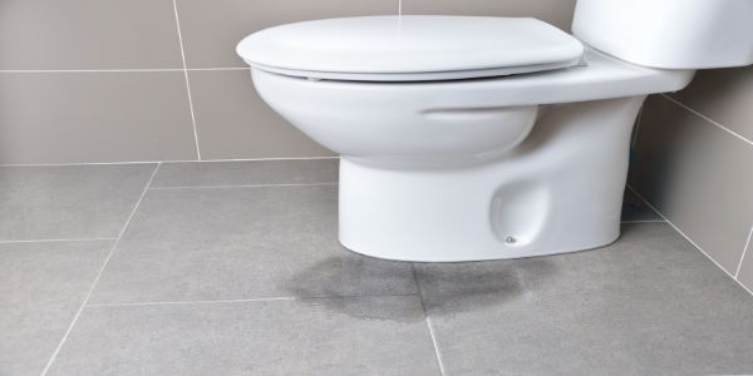 Need Help Interpreting Toilet Leak