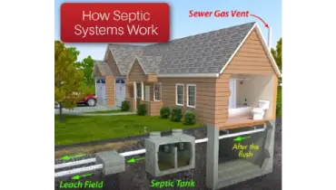 How septics work graphic.