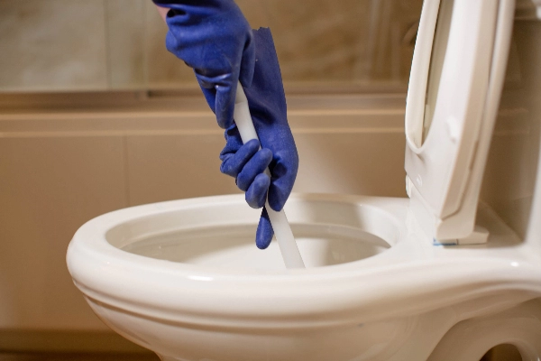 Person using a plunger in a toilet