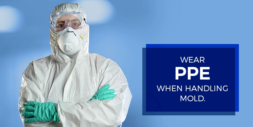 wear ppe when handling mold