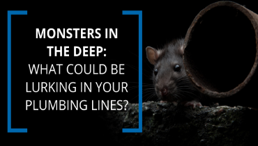 A mouse next to a pipe and the words 'Monsters in the Deep: What could be lurking in your Plumbing Lines?'