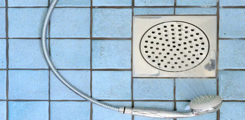 Shower Drain