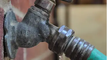 Hose connected to spigot.