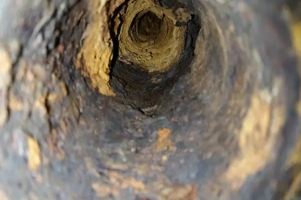 An old sewer pipe identified in a sewer camera inspection