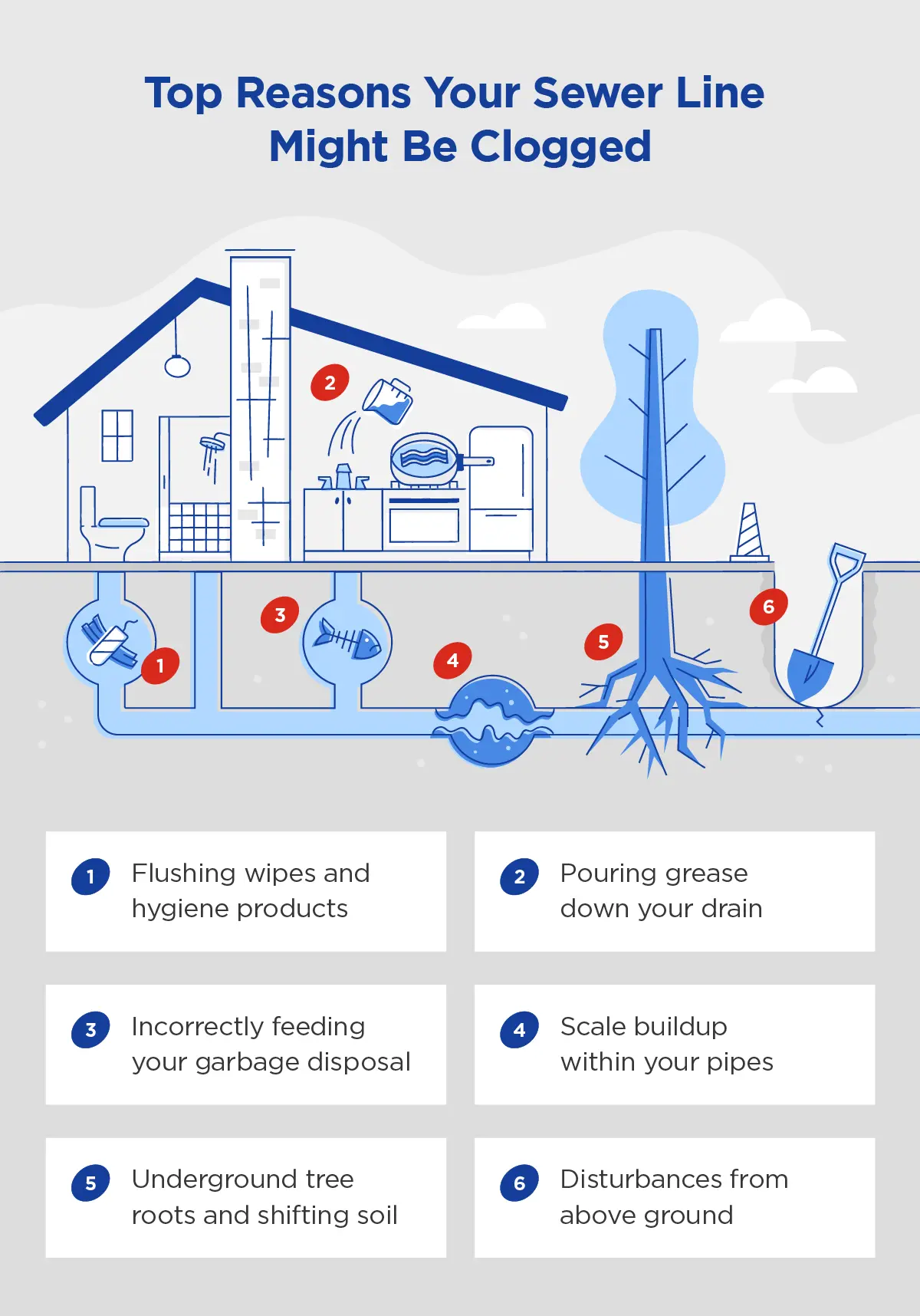Illustration highlighting the top reasons your sewer line might be clogged.